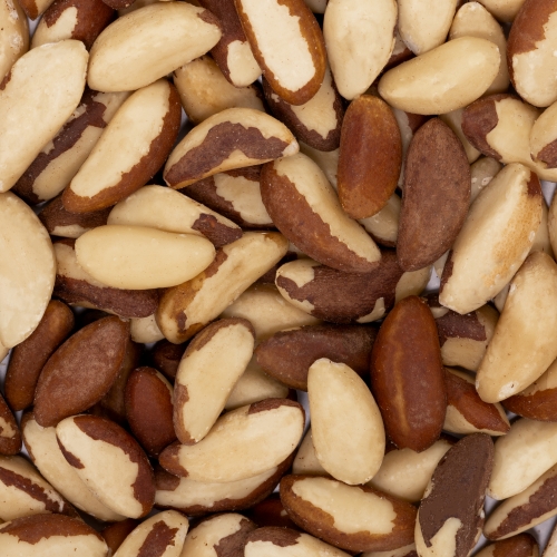 Orzechy brazylijskie Grizly